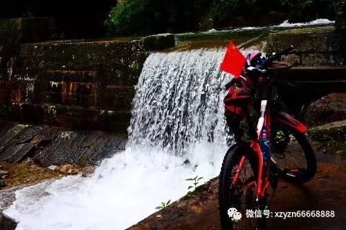 跳动的圆球