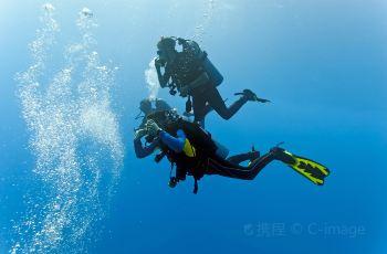 中羽评测｜同台竞“戟”，可控可攻 问鼎巅峰 — 战戟9000及系列横向体验评测